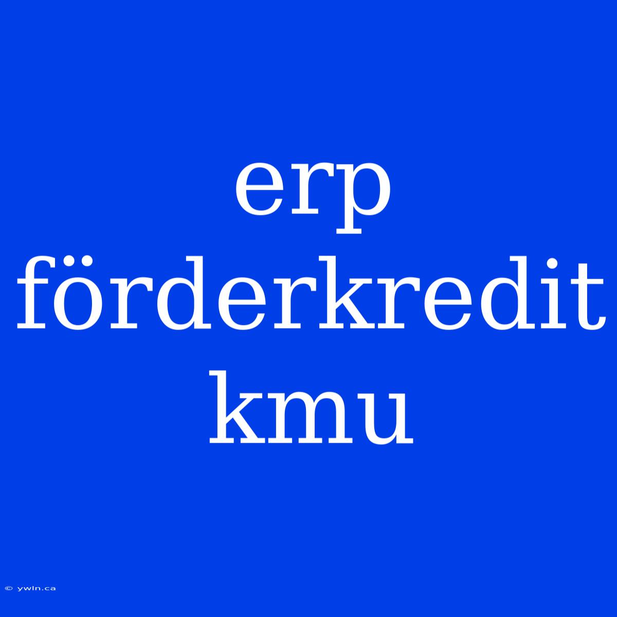 Erp Förderkredit Kmu