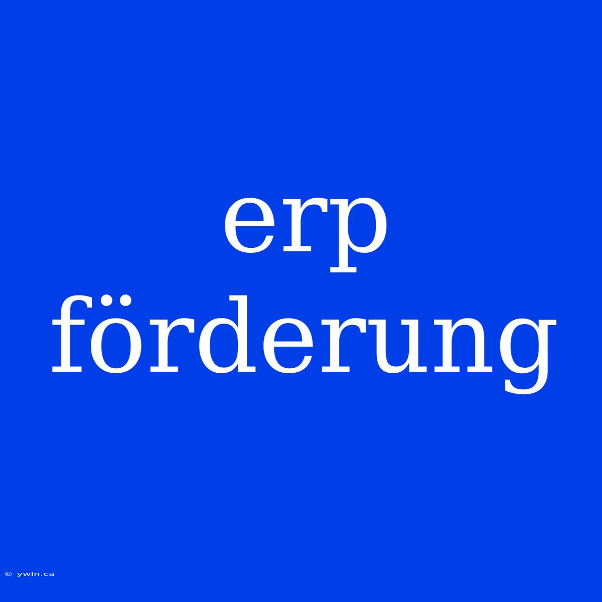 Erp Förderung