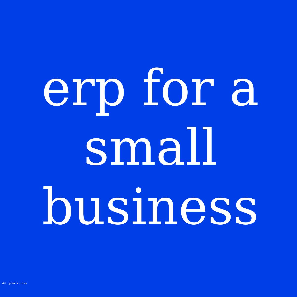 Erp For A Small Business