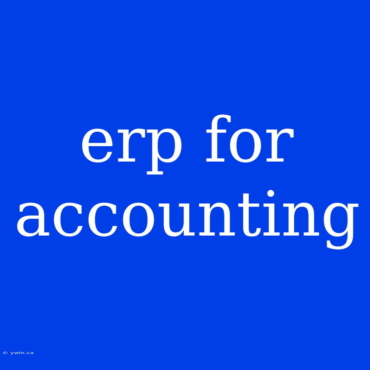 Erp For Accounting