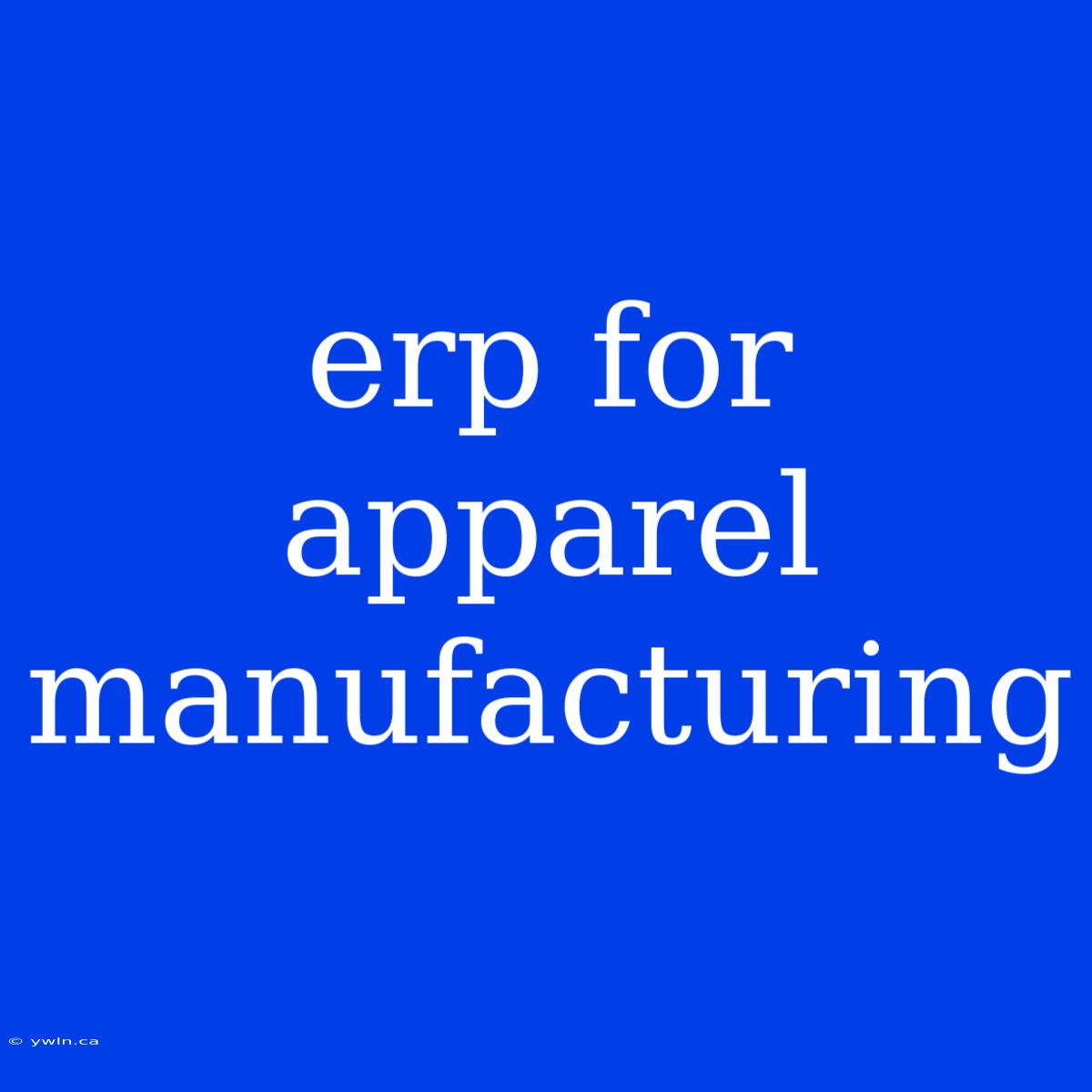 Erp For Apparel Manufacturing