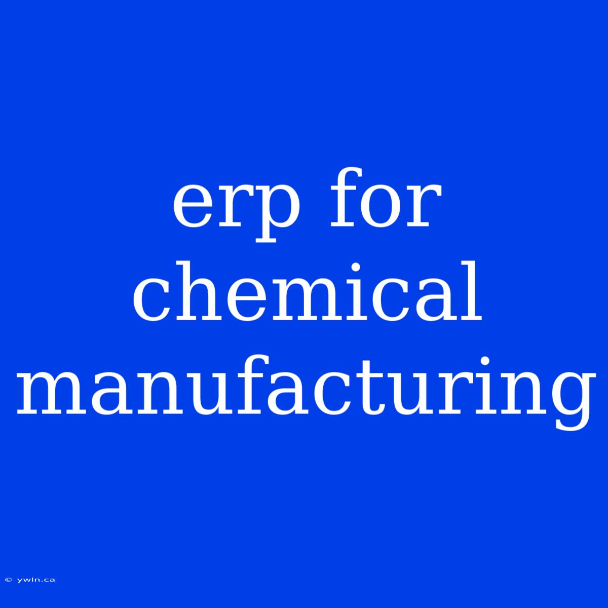 Erp For Chemical Manufacturing