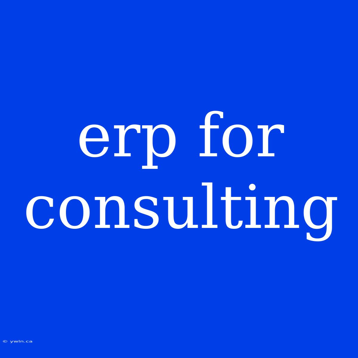 Erp For Consulting