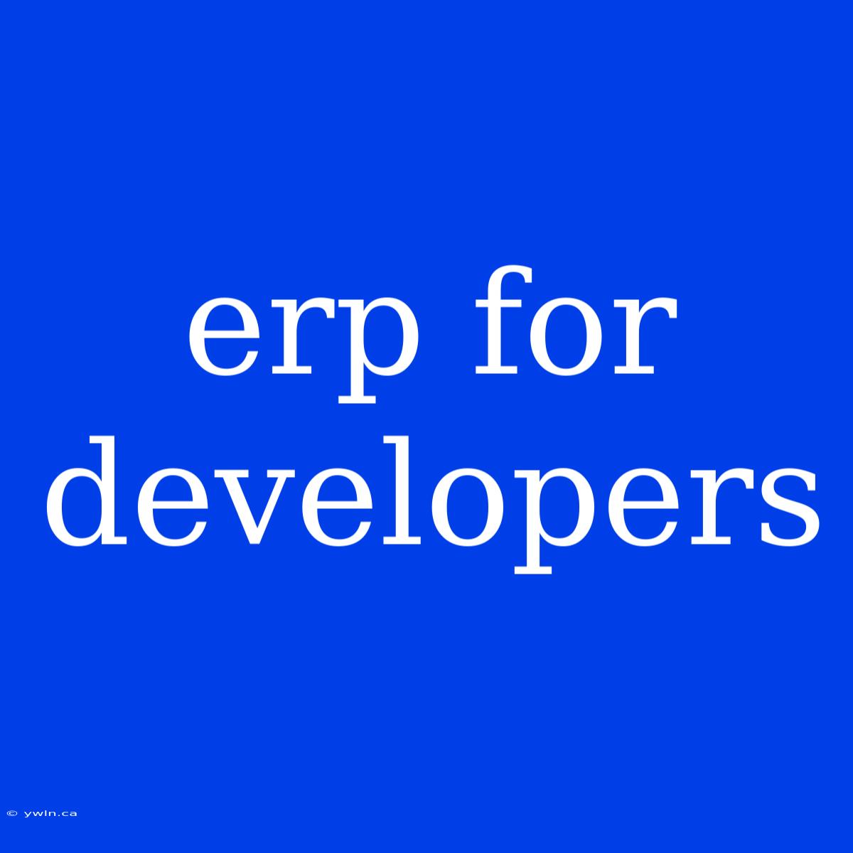 Erp For Developers