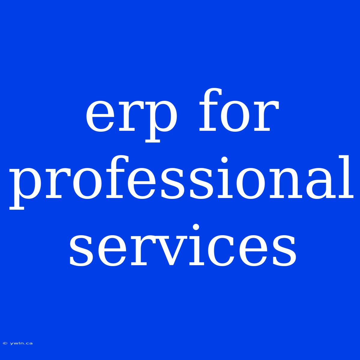 Erp For Professional Services