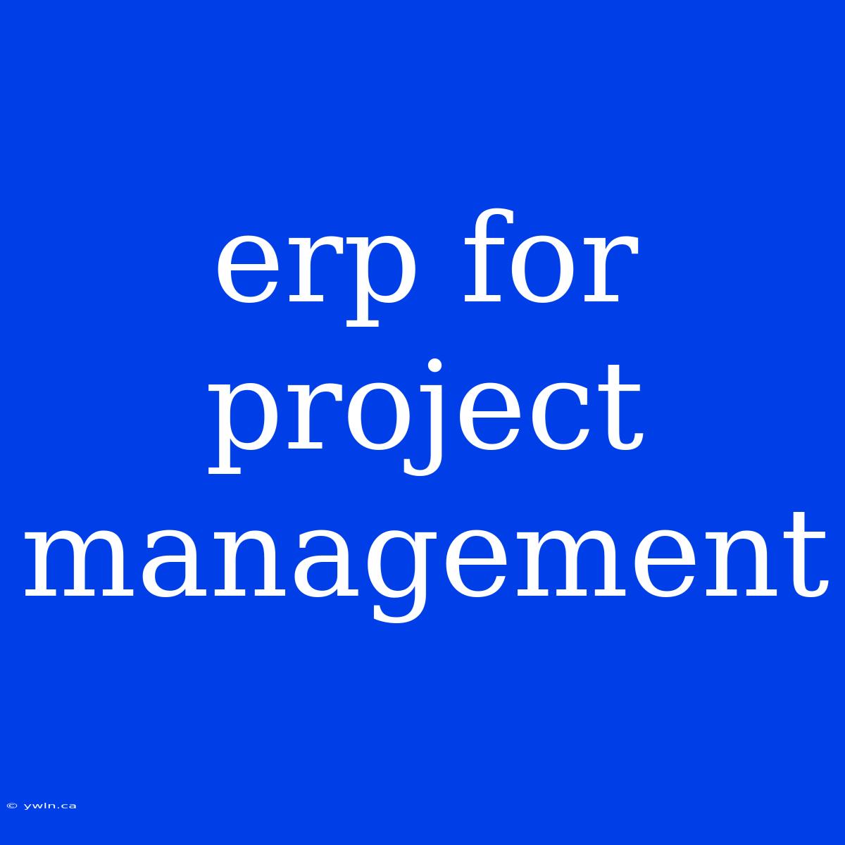 Erp For Project Management