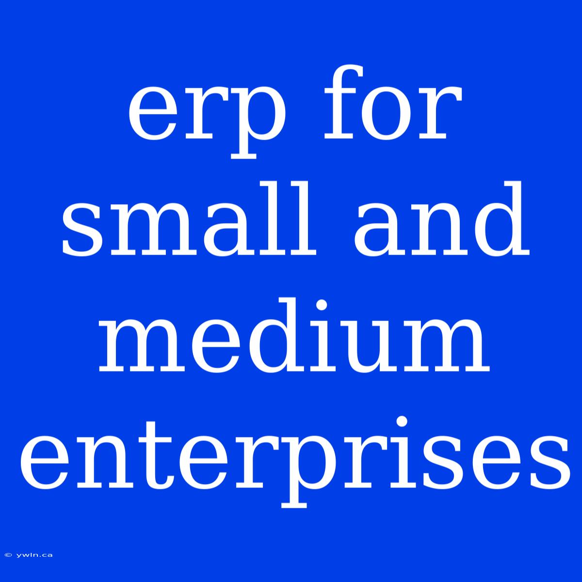 Erp For Small And Medium Enterprises