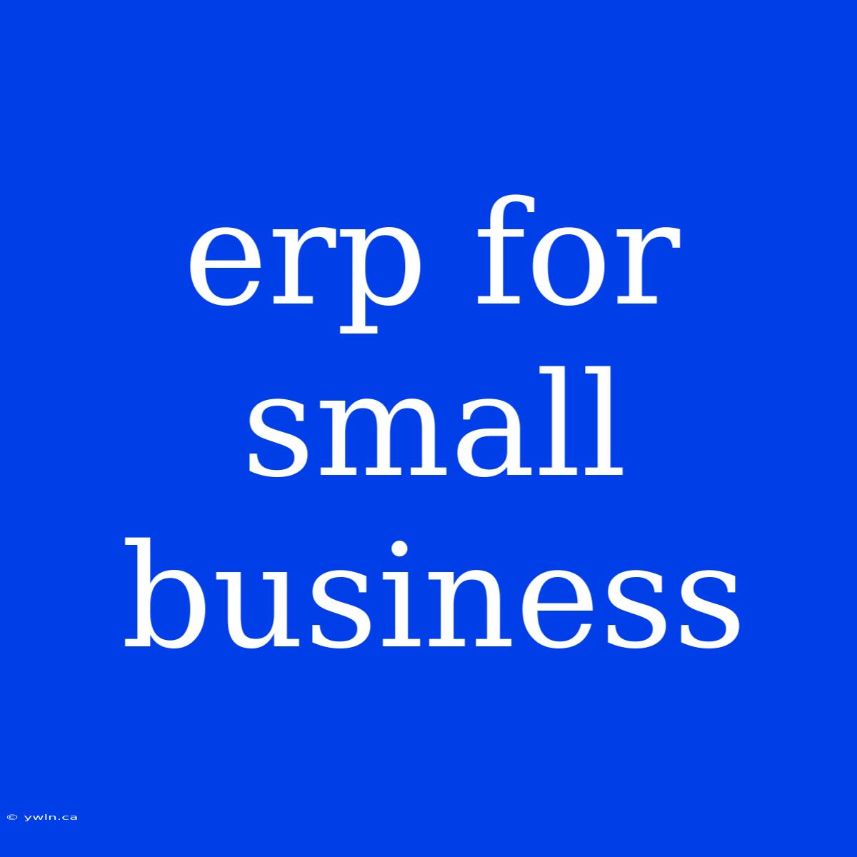 Erp For Small Business