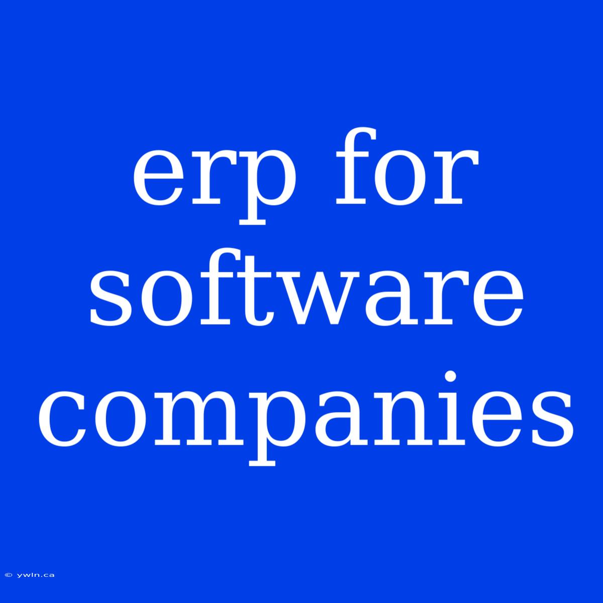 Erp For Software Companies