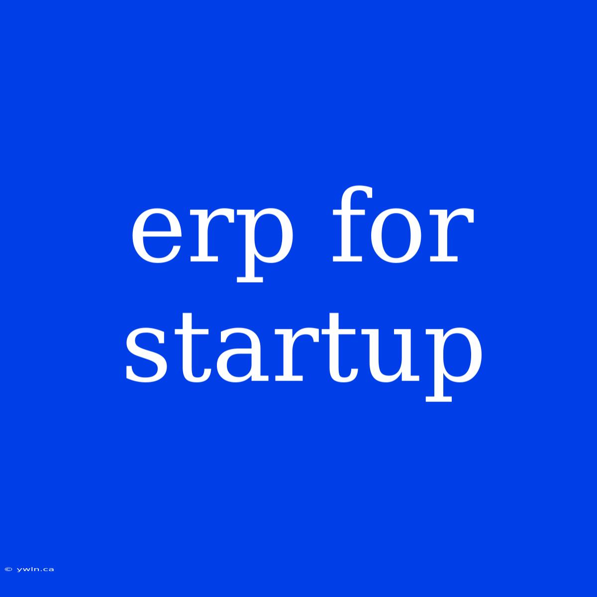 Erp For Startup