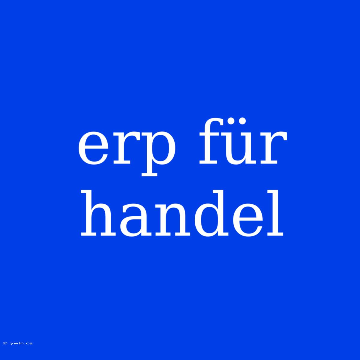 Erp Für Handel