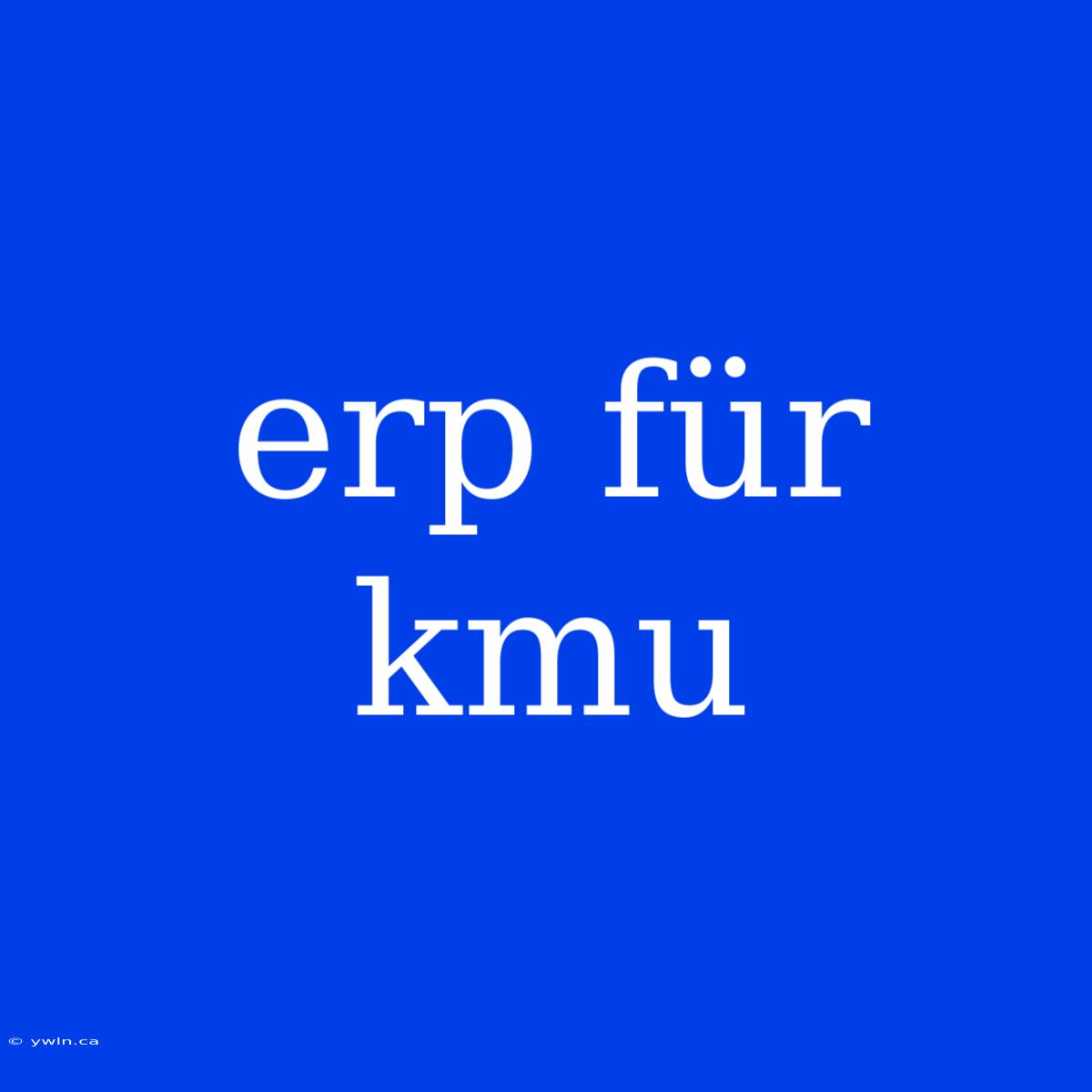 Erp Für Kmu