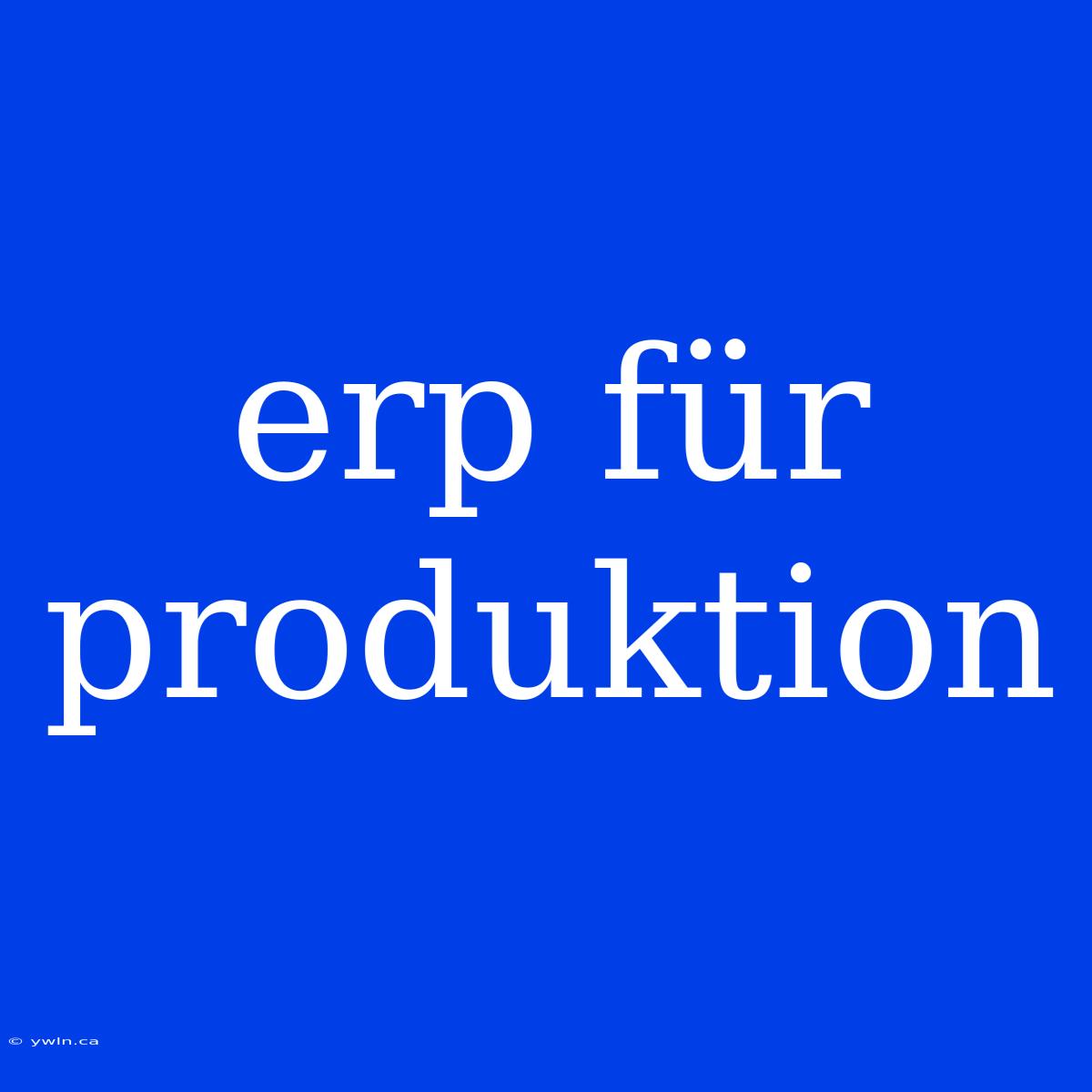 Erp Für Produktion