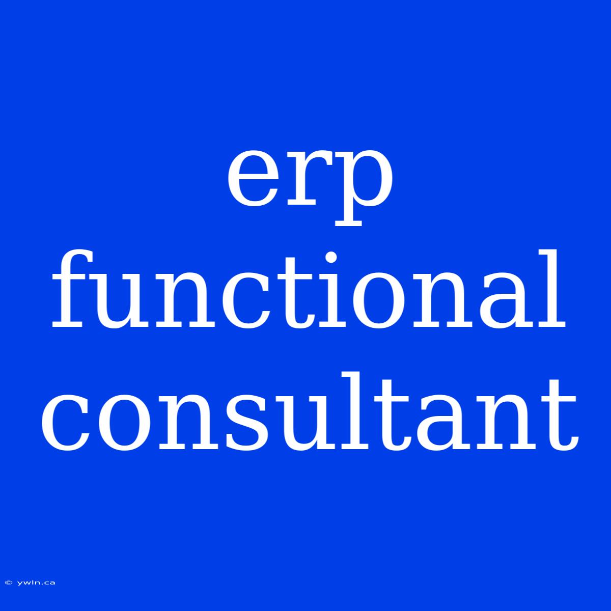 Erp Functional Consultant