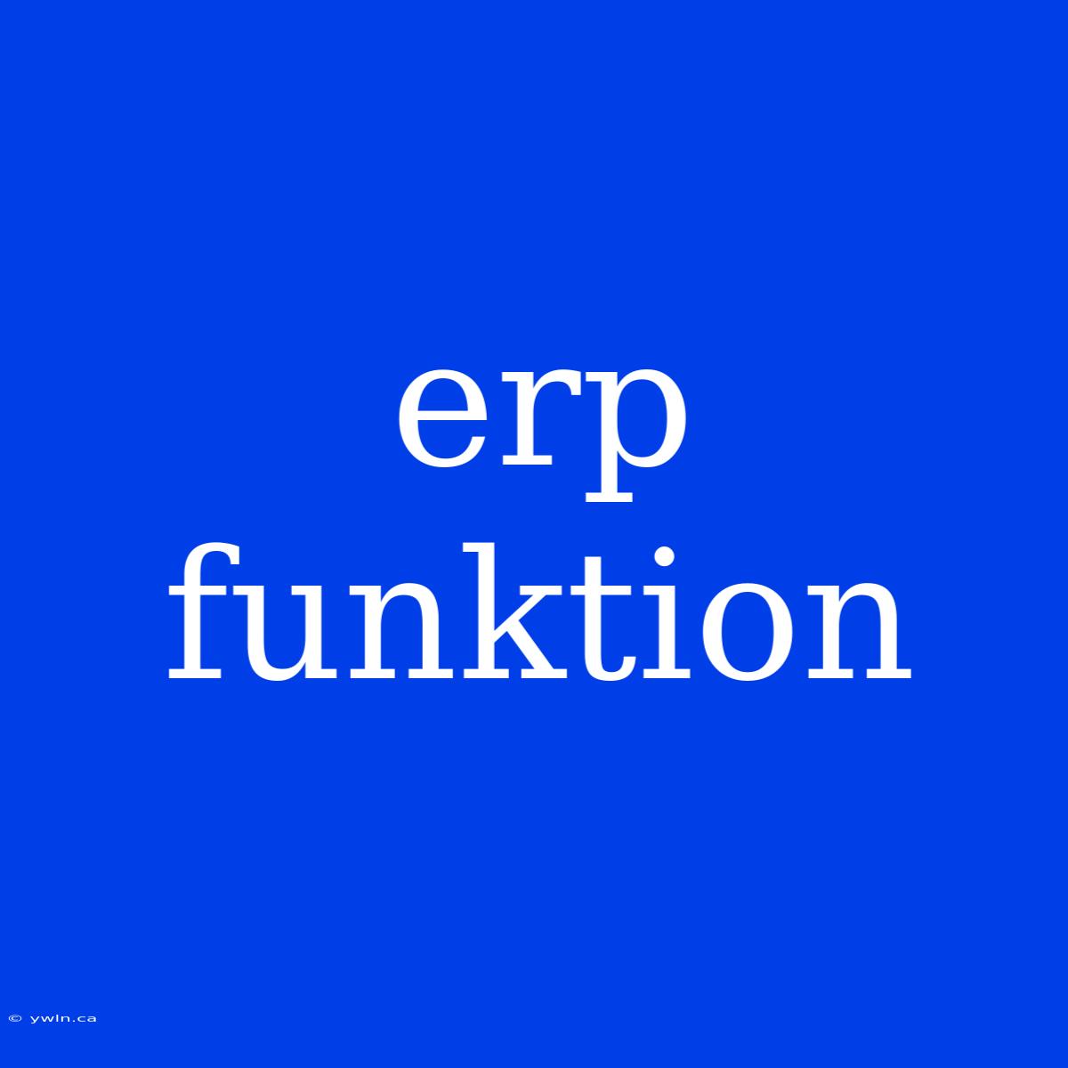 Erp Funktion