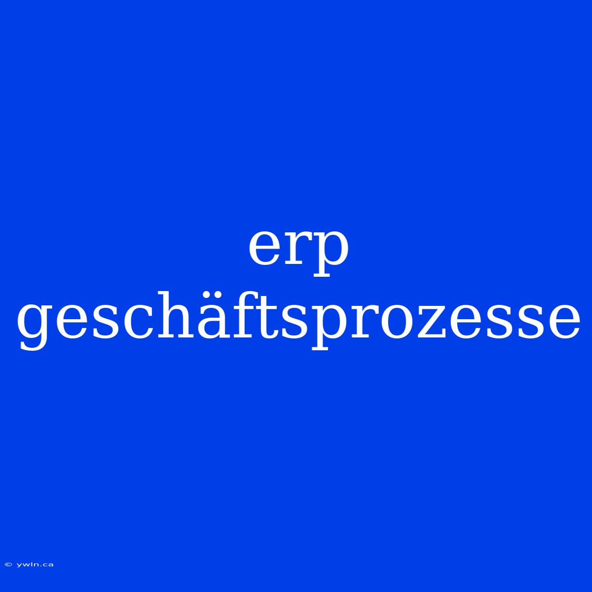 Erp Geschäftsprozesse