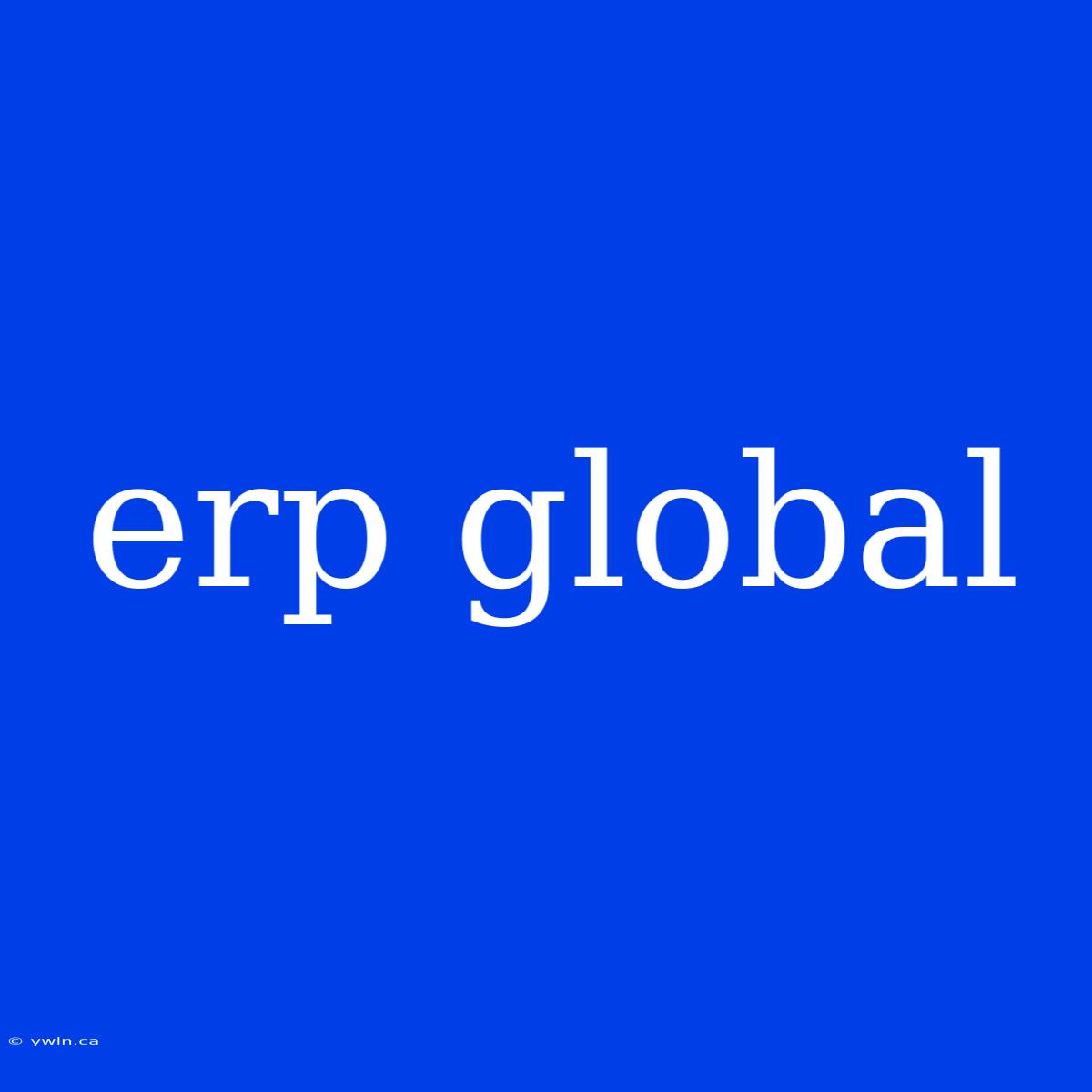 Erp Global