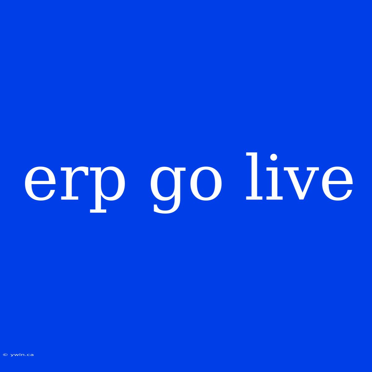 Erp Go Live