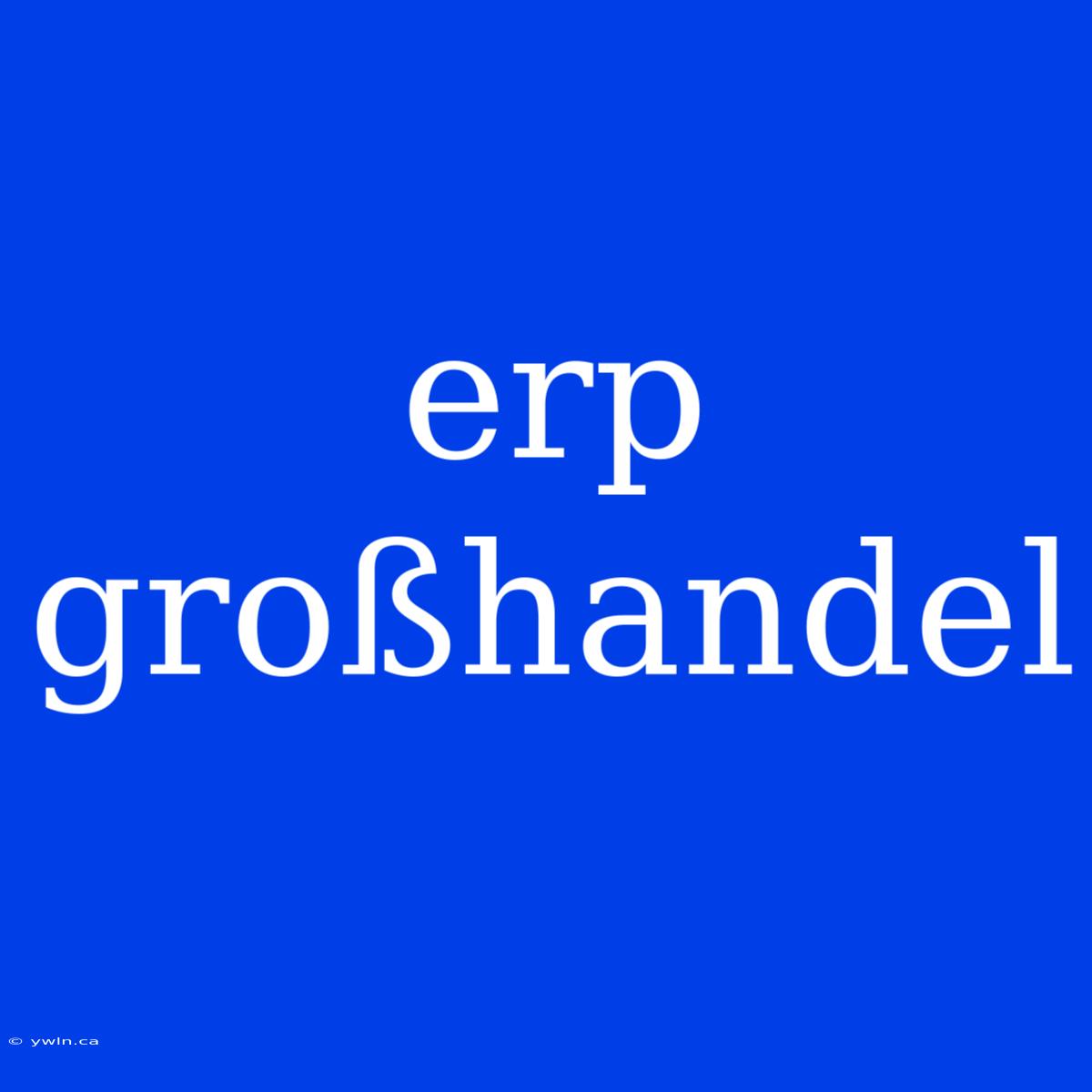 Erp Großhandel