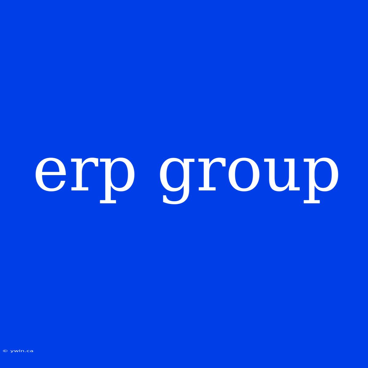 Erp Group