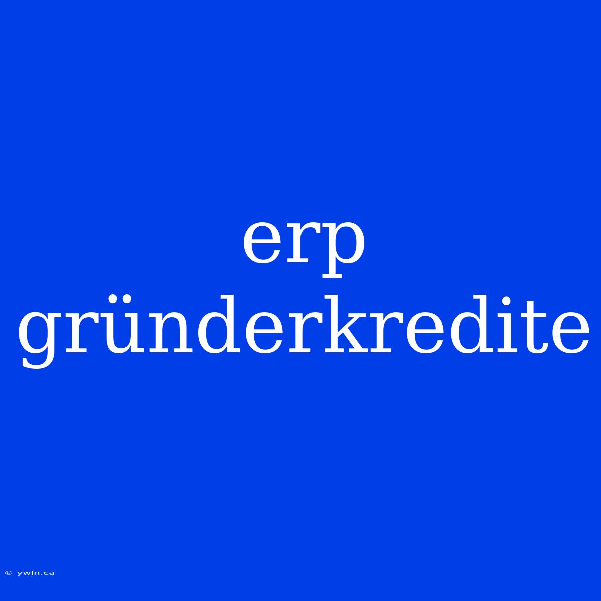 Erp Gründerkredite