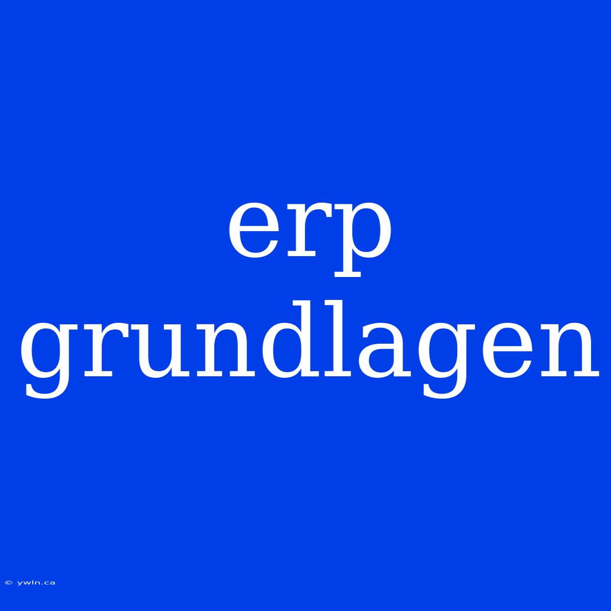 Erp Grundlagen