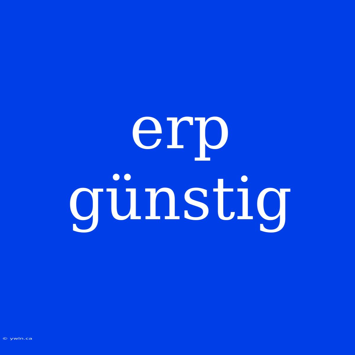 Erp Günstig