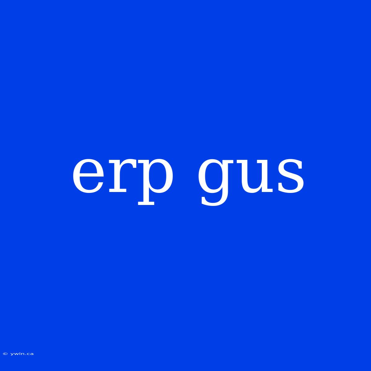 Erp Gus