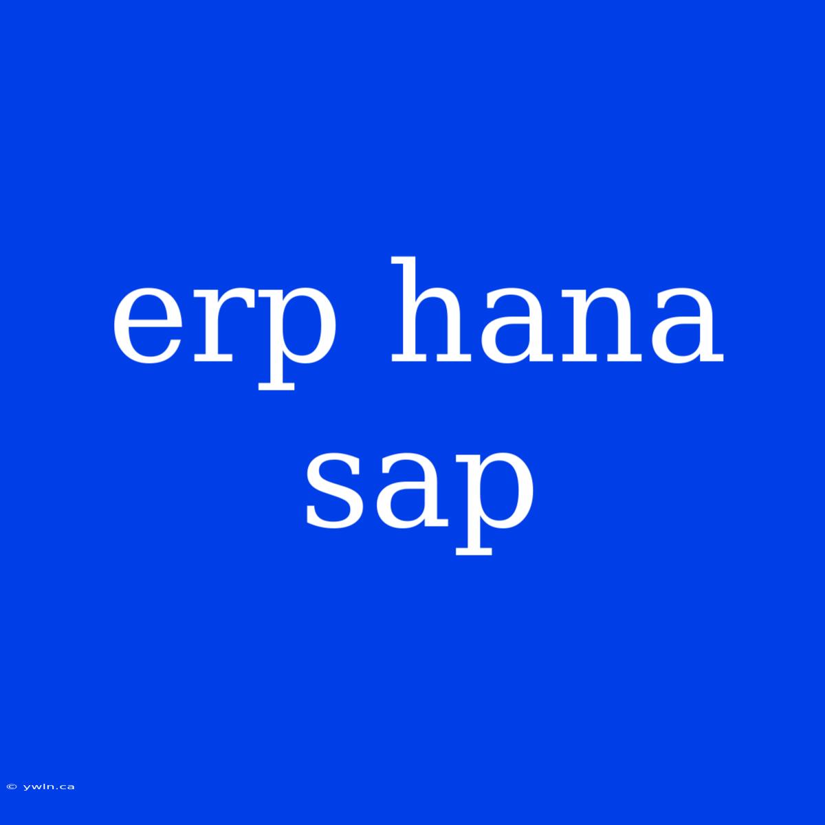 Erp Hana Sap