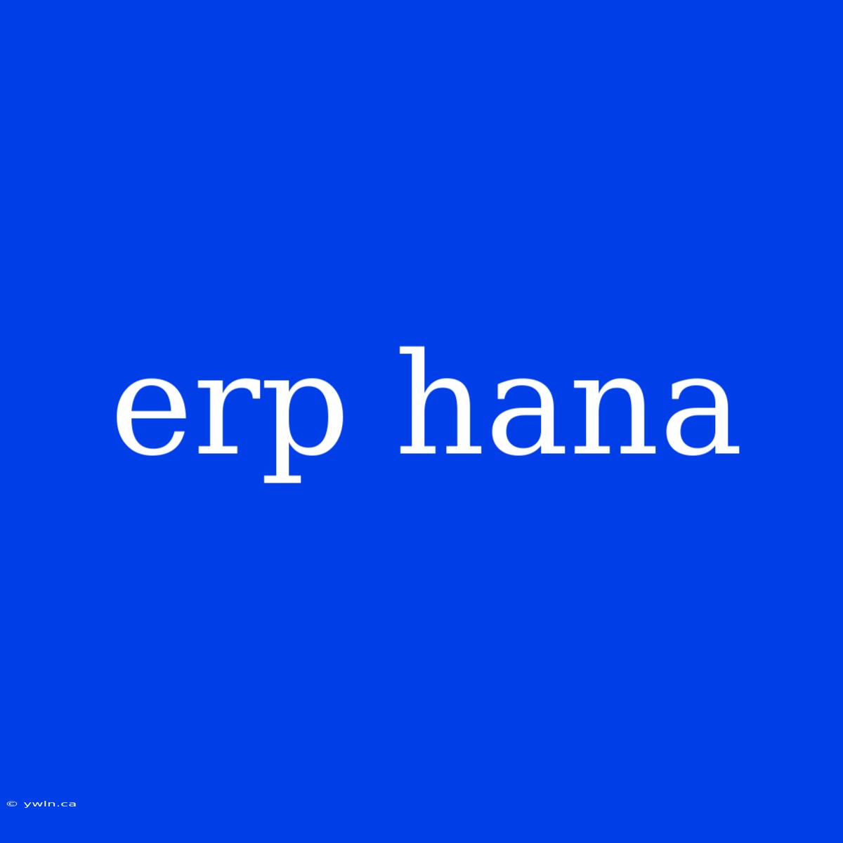 Erp Hana