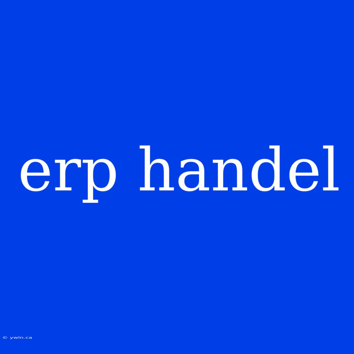 Erp Handel