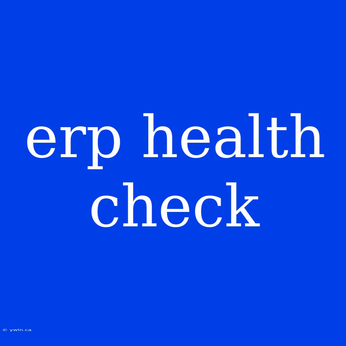 Erp Health Check