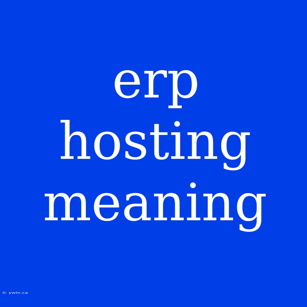 Erp Hosting Meaning