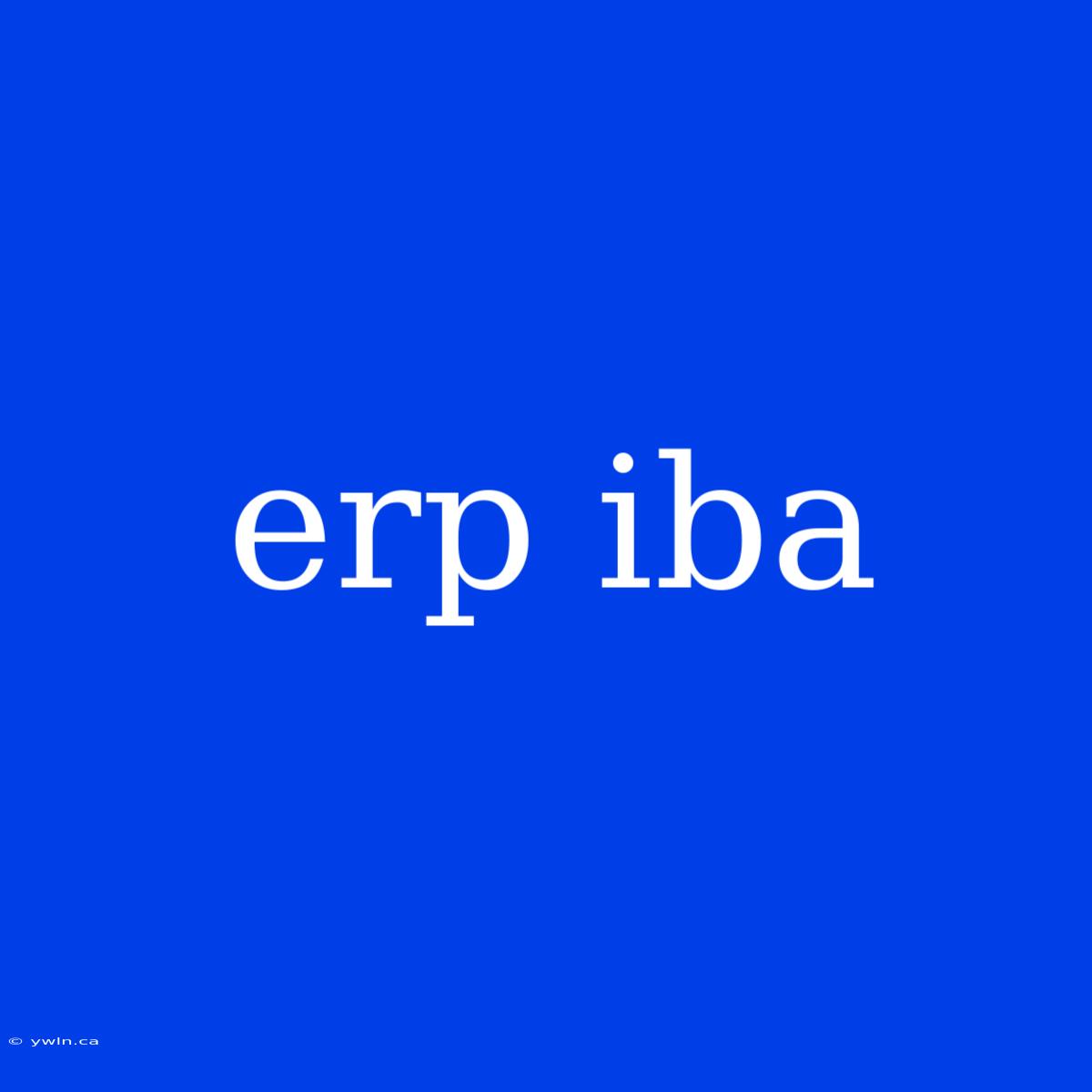 Erp Iba