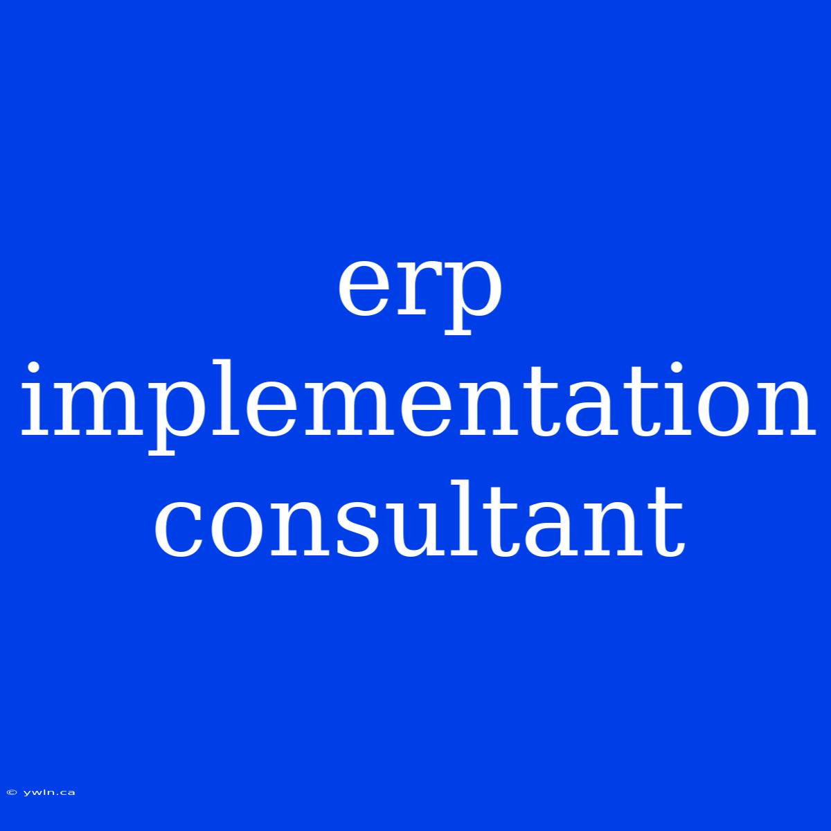 Erp Implementation Consultant