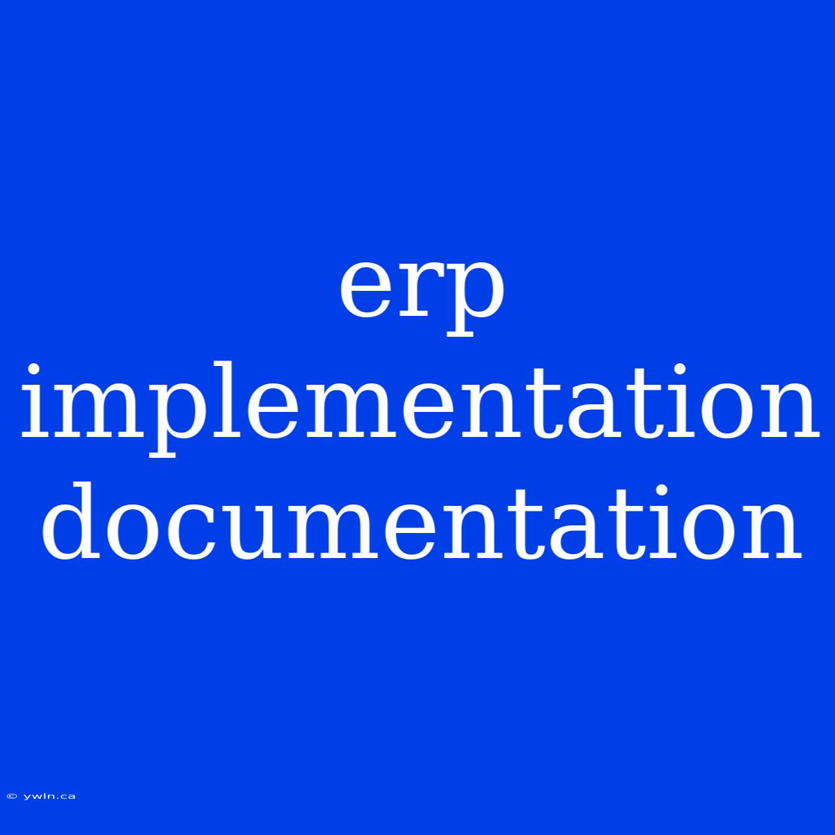 Erp Implementation Documentation