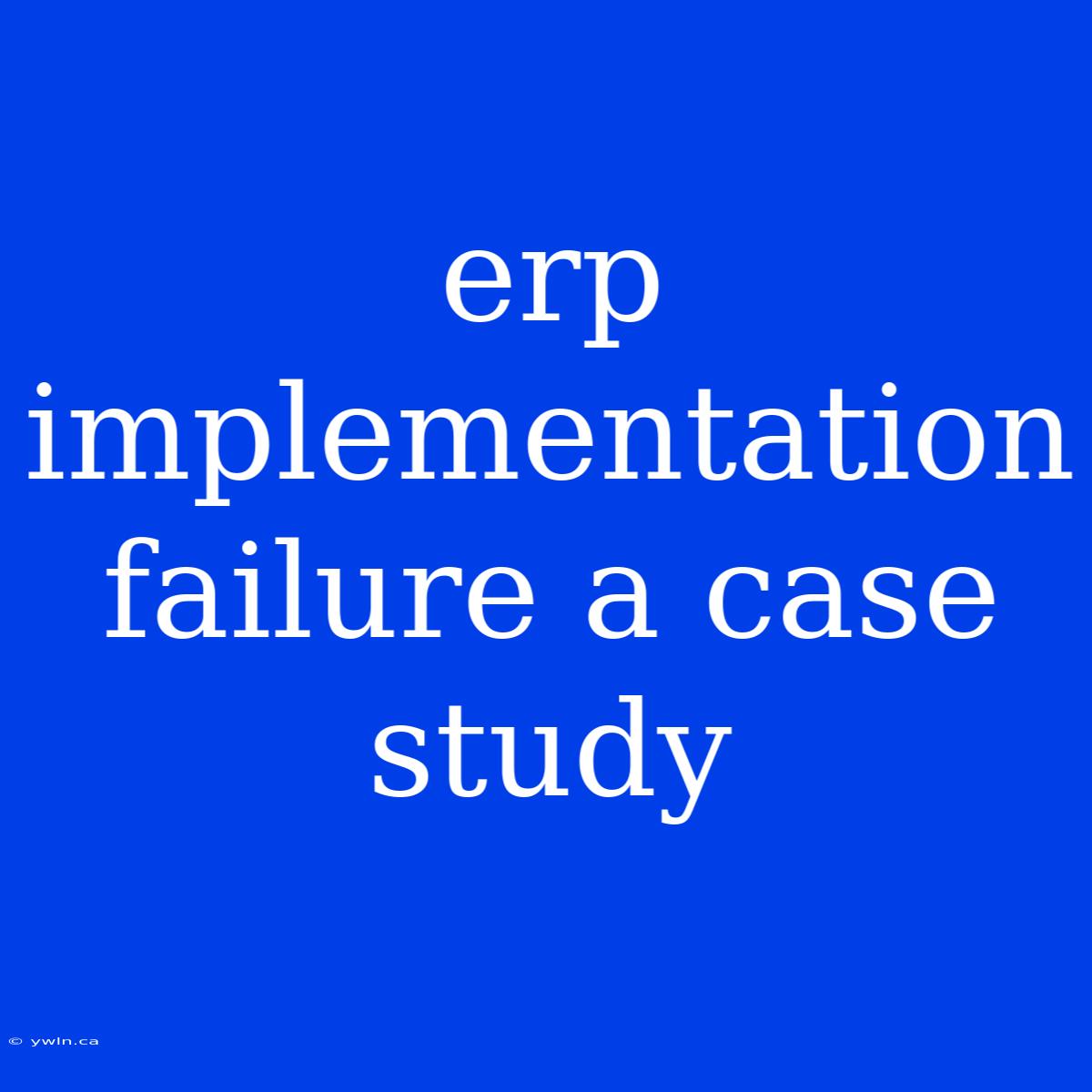 Erp Implementation Failure A Case Study