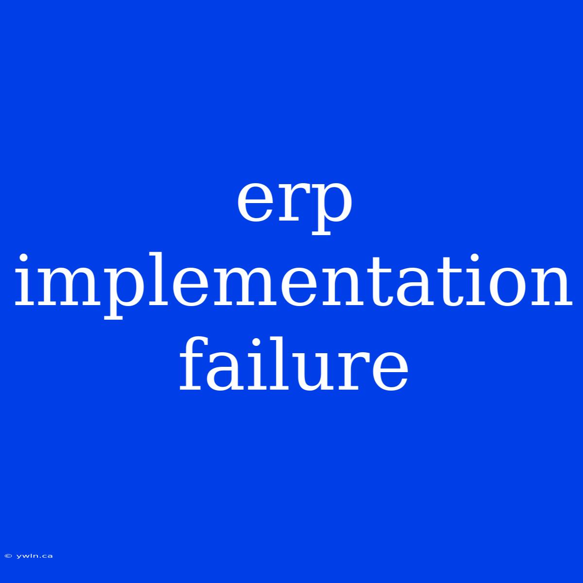 Erp Implementation Failure