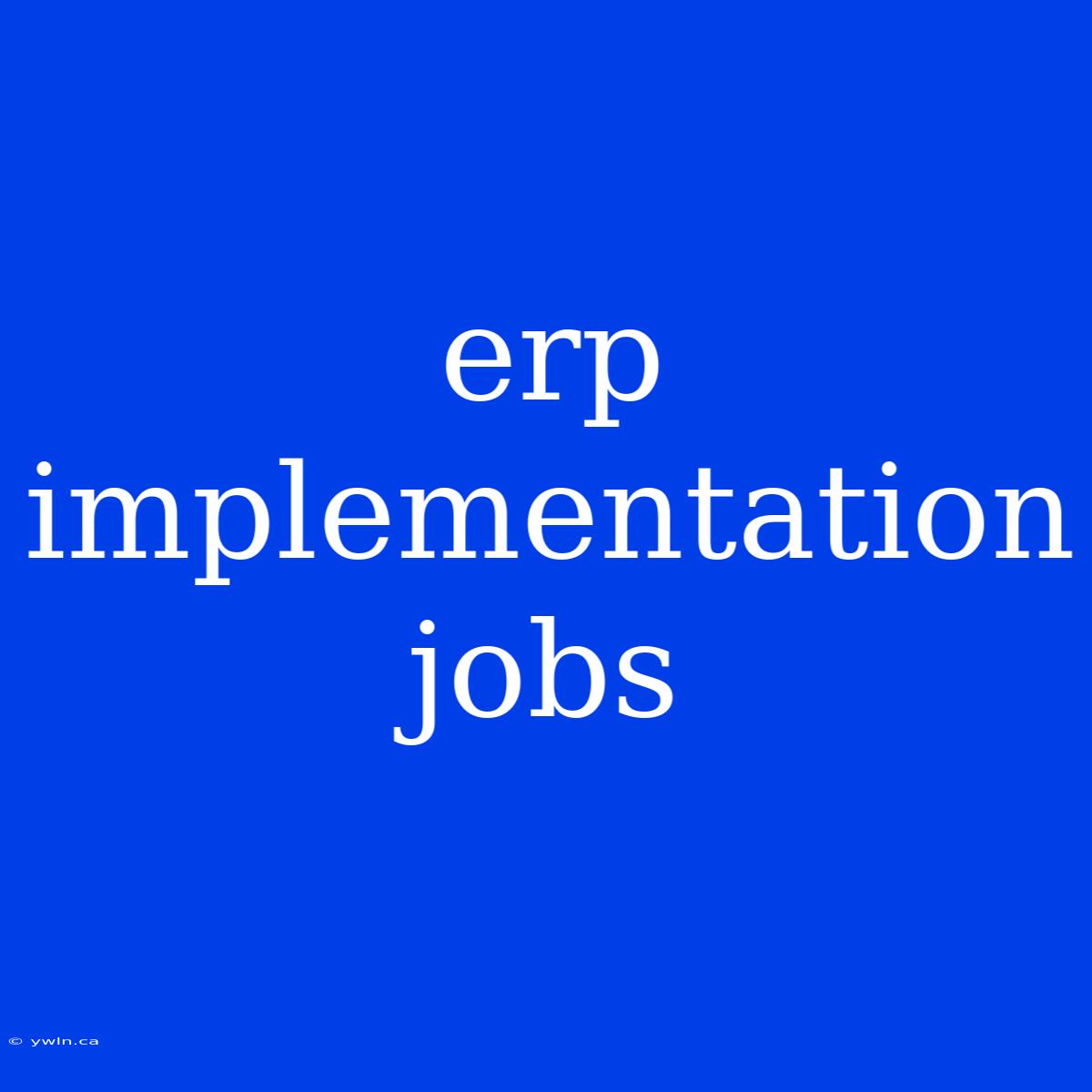 Erp Implementation Jobs