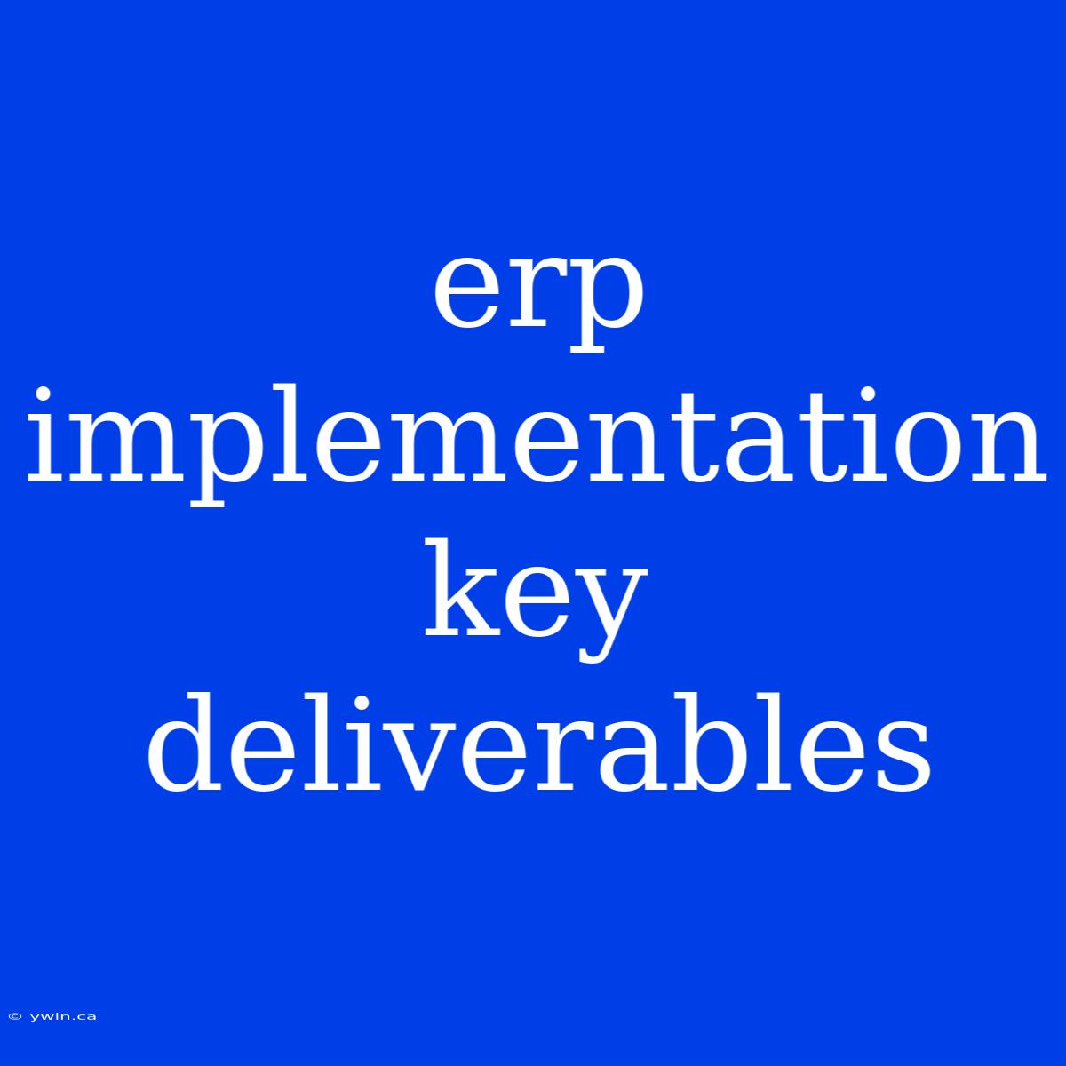 Erp Implementation Key Deliverables