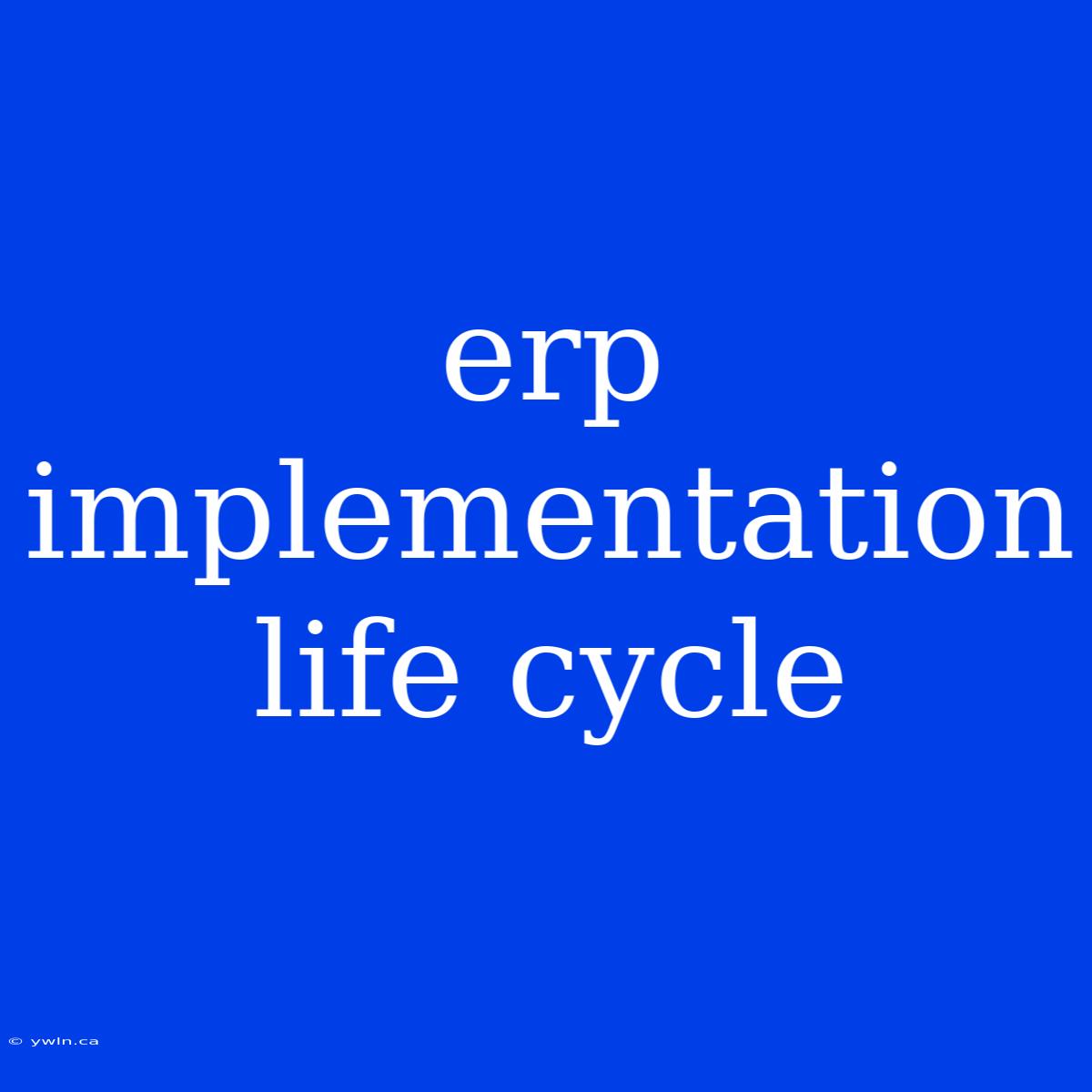 Erp Implementation Life Cycle