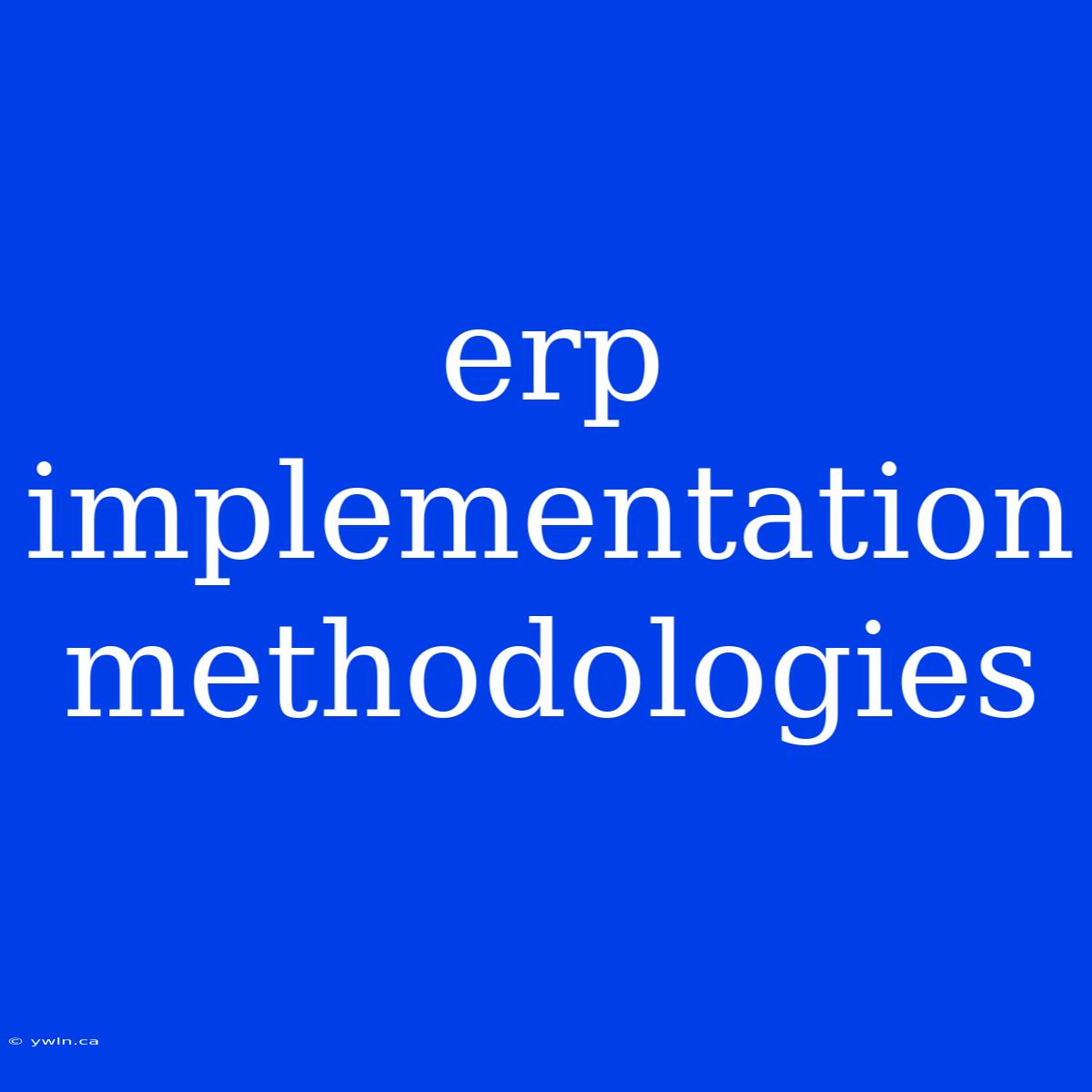 Erp Implementation Methodologies