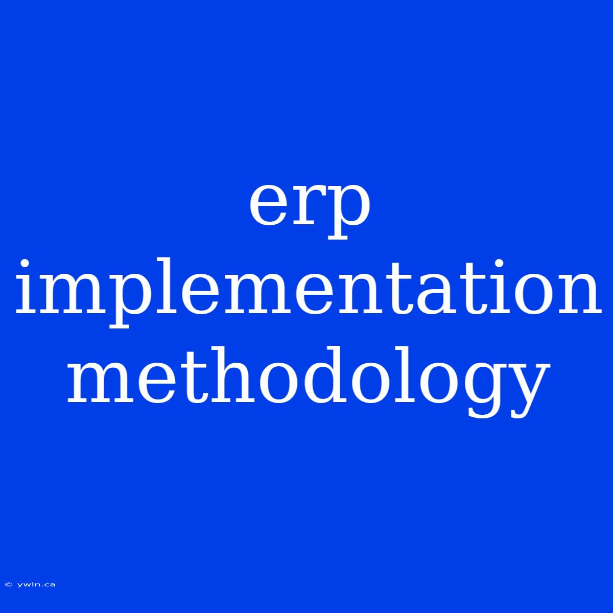 Erp Implementation Methodology