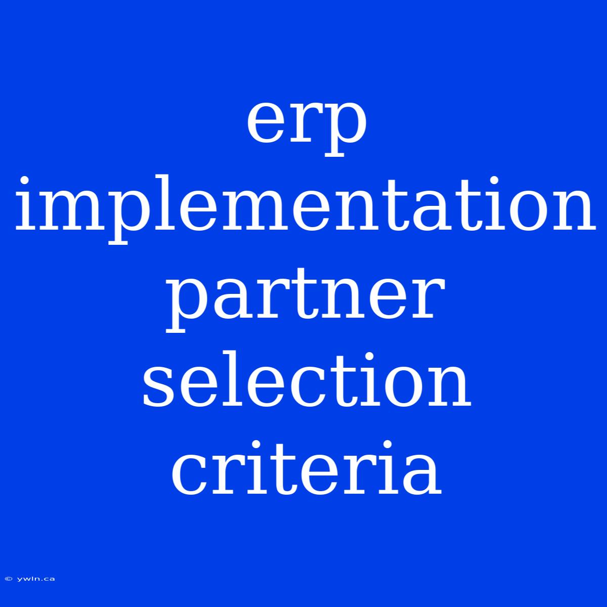 Erp Implementation Partner Selection Criteria