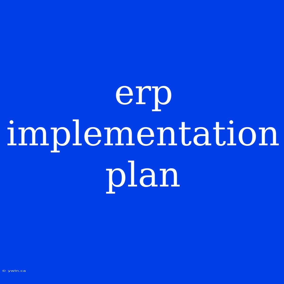 Erp Implementation Plan