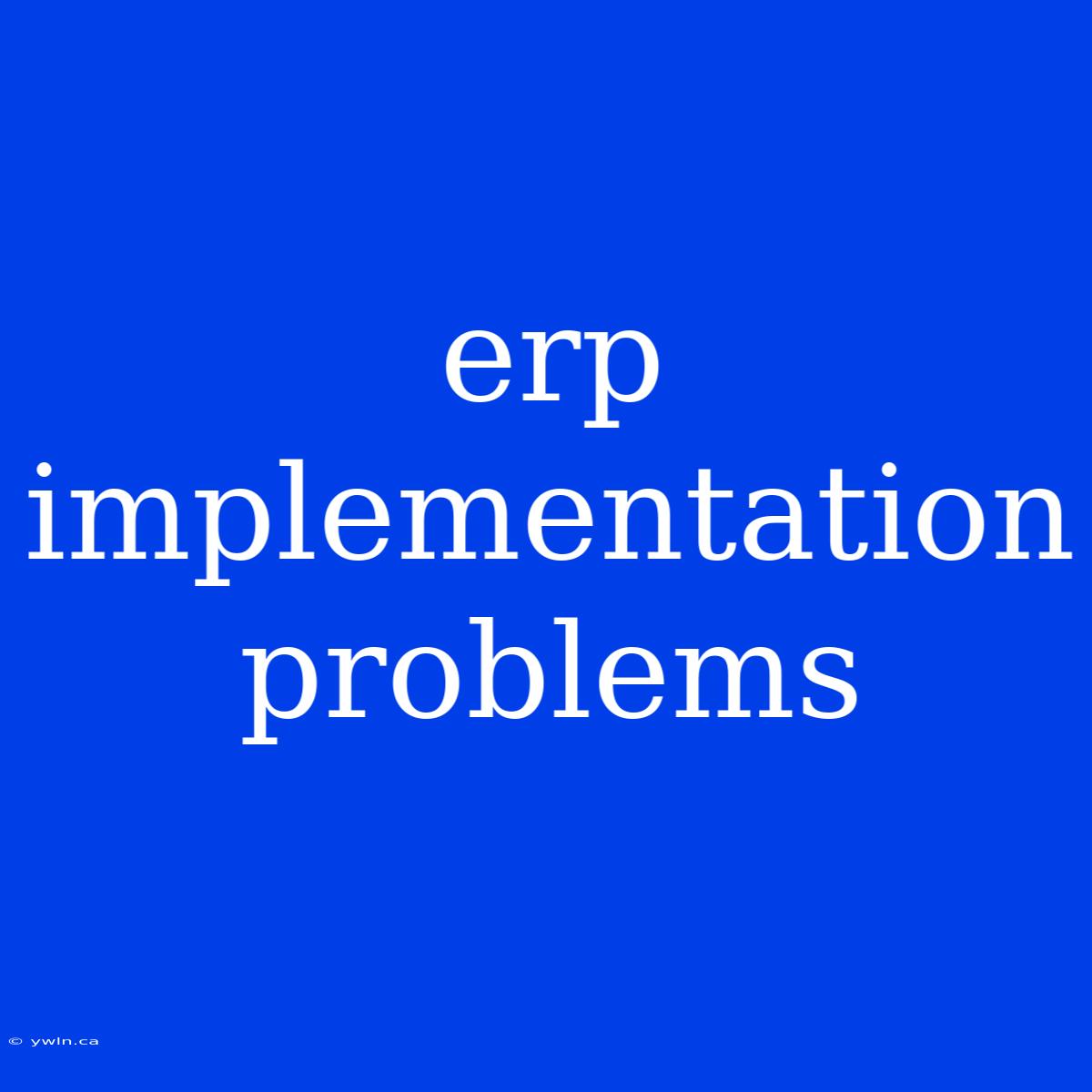 Erp Implementation Problems