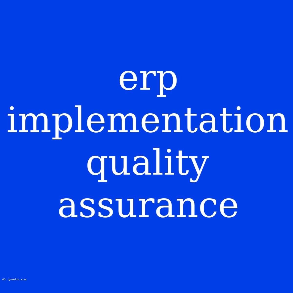 Erp Implementation Quality Assurance