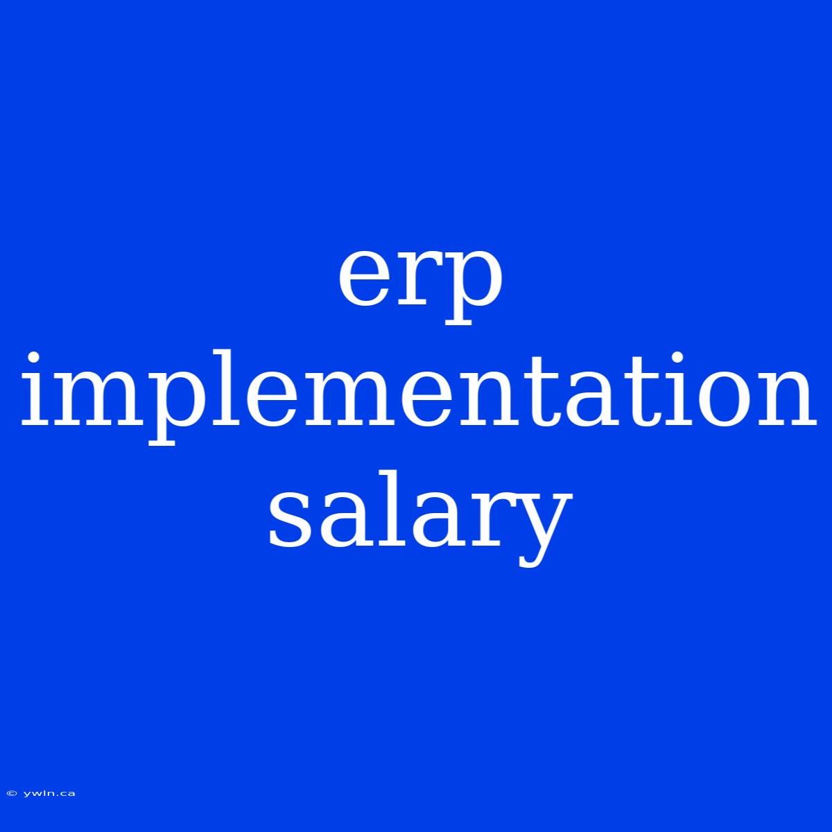 Erp Implementation Salary