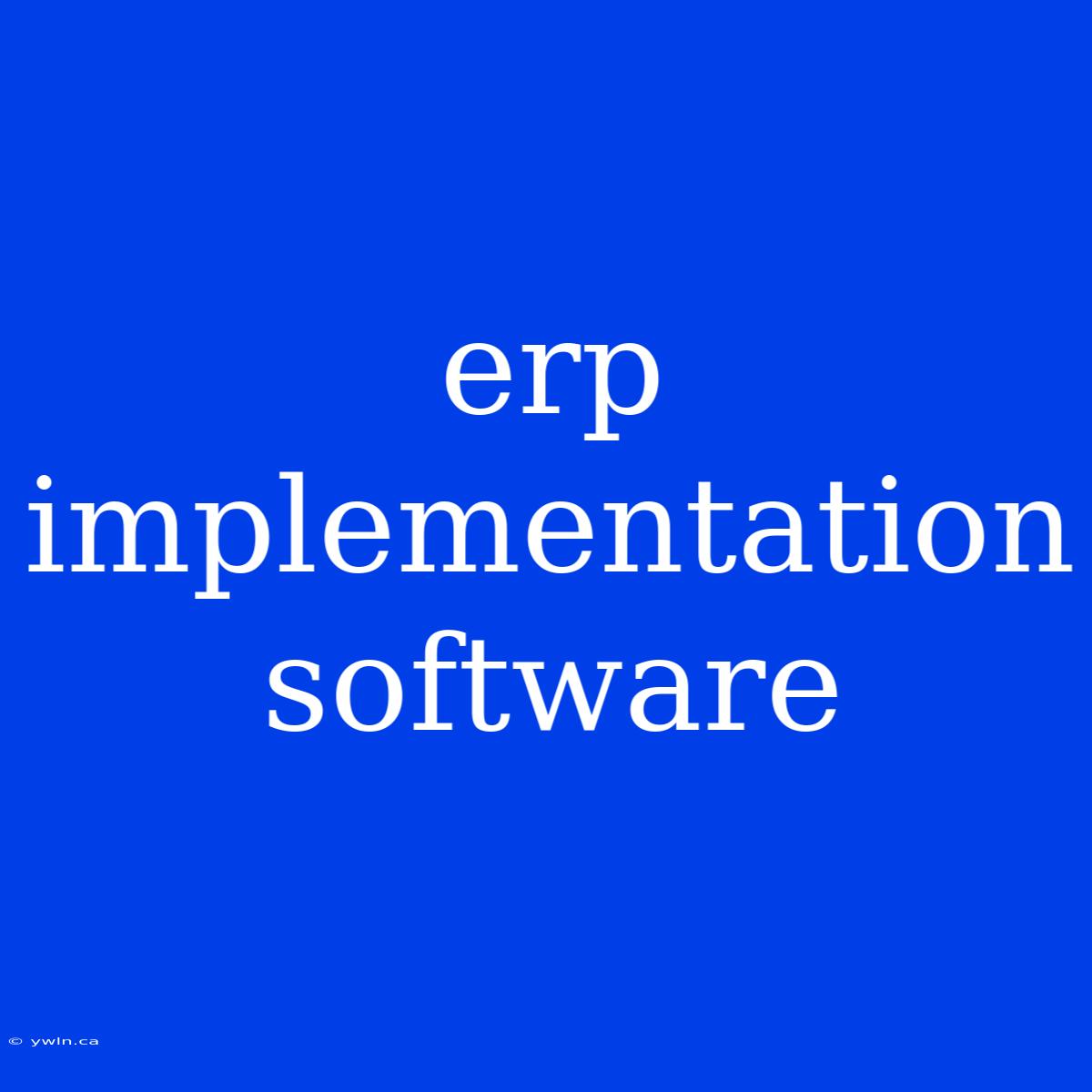 Erp Implementation Software