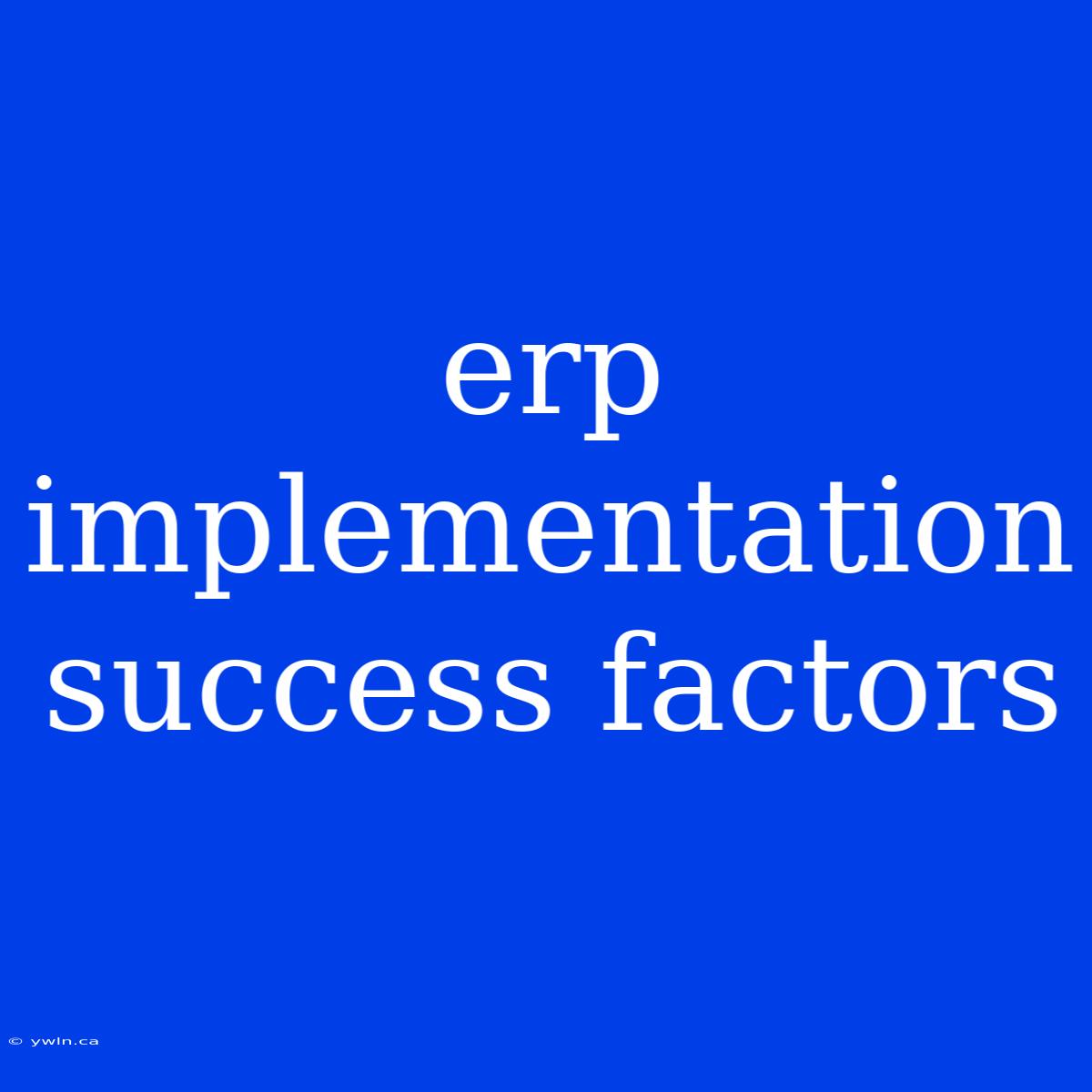 Erp Implementation Success Factors